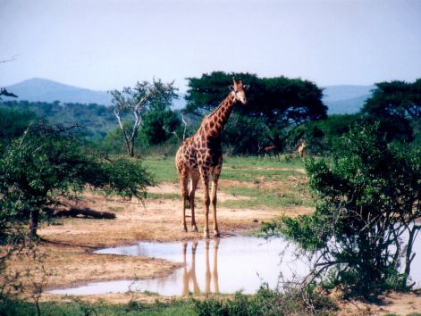 34.jpg